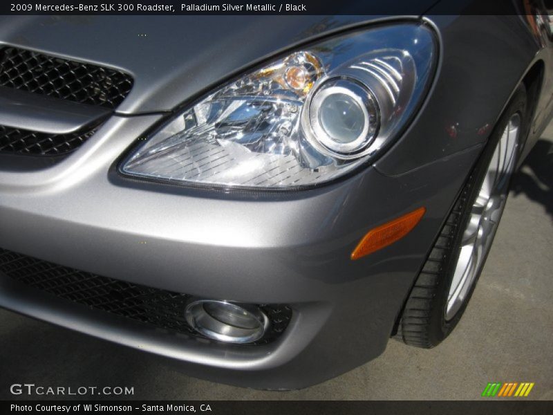 Palladium Silver Metallic / Black 2009 Mercedes-Benz SLK 300 Roadster
