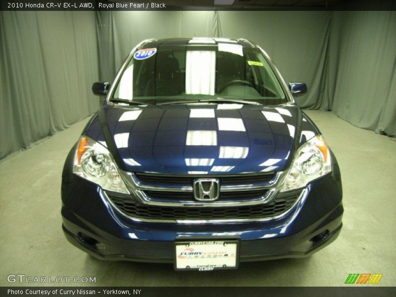 Royal Blue Pearl / Black 2010 Honda CR-V EX-L AWD