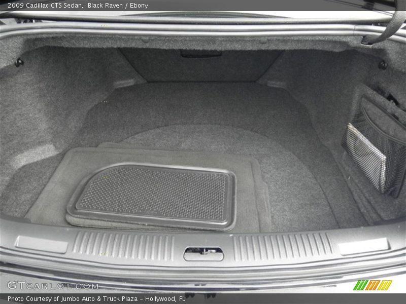Black Raven / Ebony 2009 Cadillac CTS Sedan
