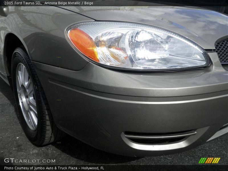 Arizona Beige Metallic / Beige 2005 Ford Taurus SEL