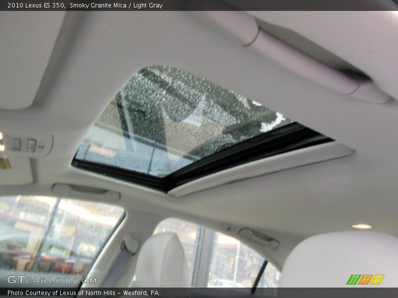 Smoky Granite Mica / Light Gray 2010 Lexus ES 350