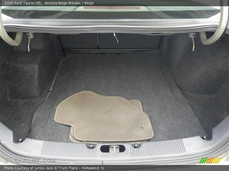 Arizona Beige Metallic / Beige 2005 Ford Taurus SEL