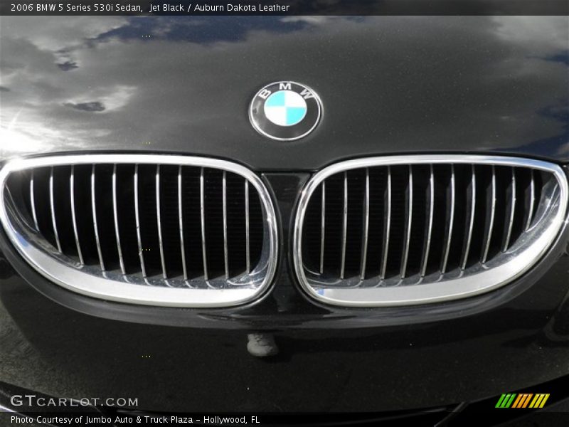 Jet Black / Auburn Dakota Leather 2006 BMW 5 Series 530i Sedan