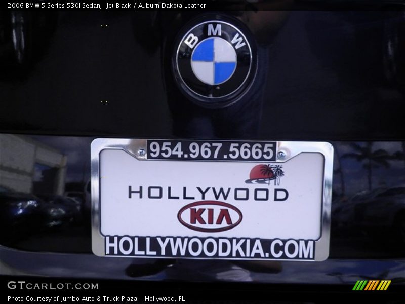 Jet Black / Auburn Dakota Leather 2006 BMW 5 Series 530i Sedan