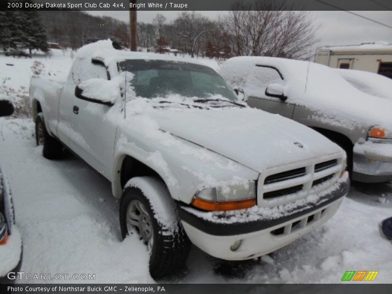 Bright White / Taupe 2003 Dodge Dakota Sport Club Cab 4x4