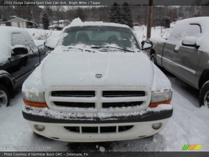 Bright White / Taupe 2003 Dodge Dakota Sport Club Cab 4x4