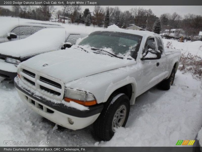 Bright White / Taupe 2003 Dodge Dakota Sport Club Cab 4x4