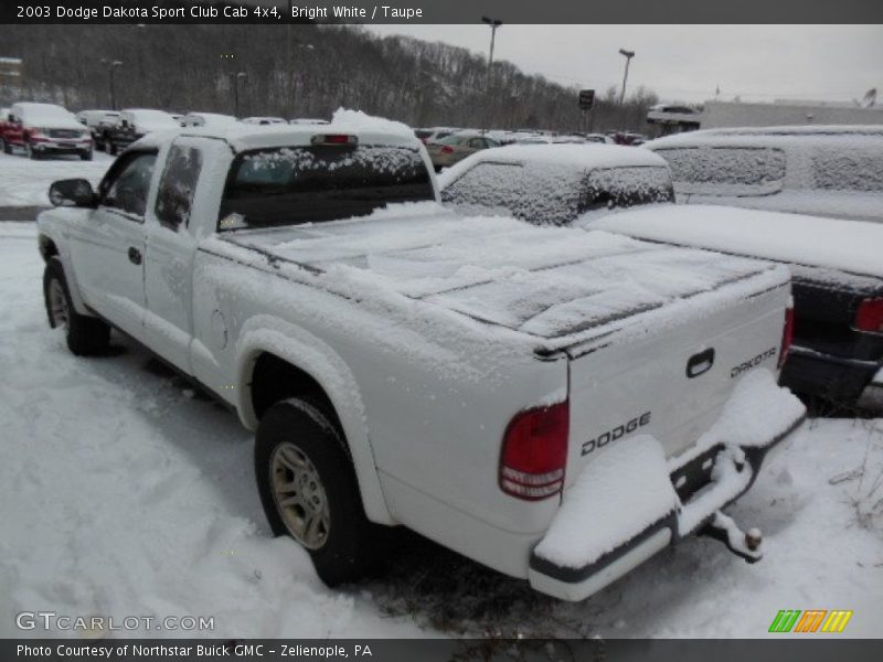 Bright White / Taupe 2003 Dodge Dakota Sport Club Cab 4x4