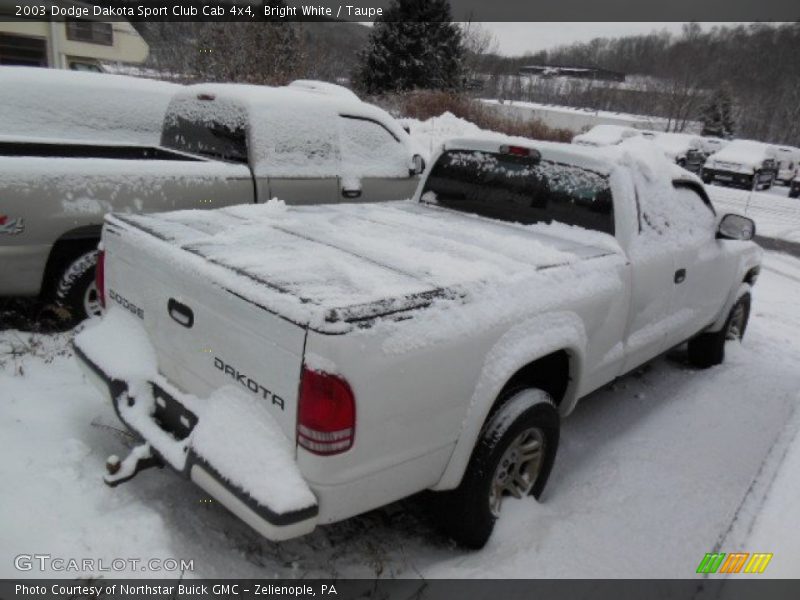 Bright White / Taupe 2003 Dodge Dakota Sport Club Cab 4x4