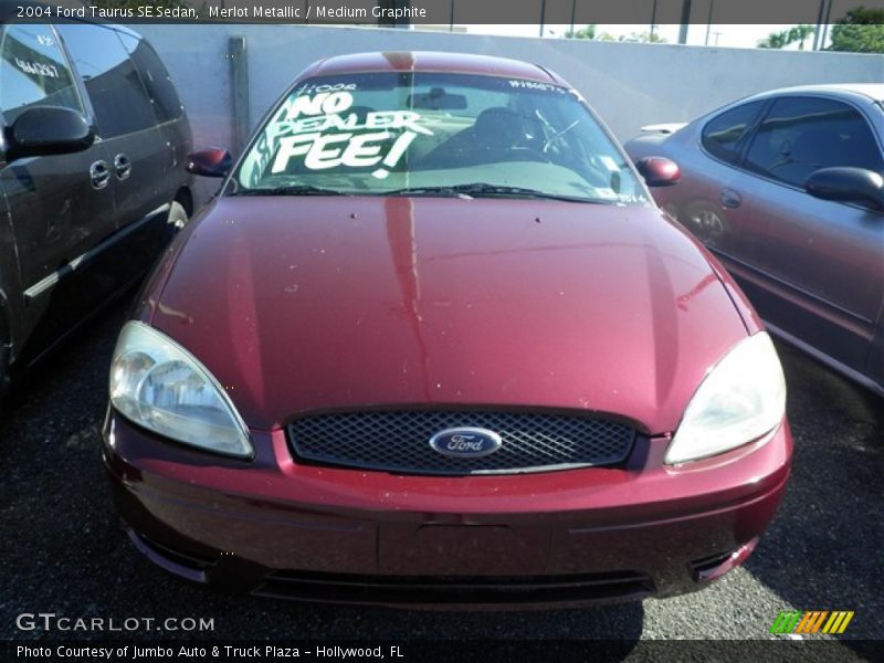 Merlot Metallic / Medium Graphite 2004 Ford Taurus SE Sedan