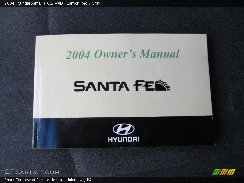 Canyon Red / Gray 2004 Hyundai Santa Fe GLS 4WD