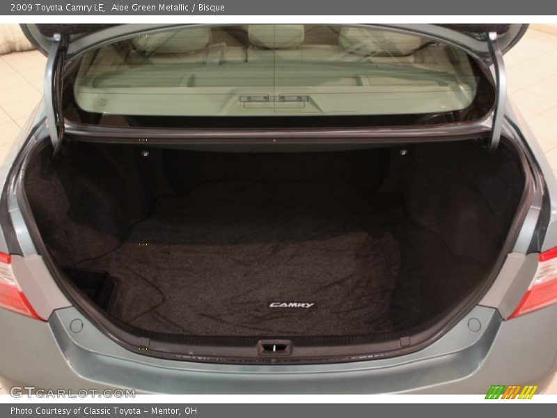 Aloe Green Metallic / Bisque 2009 Toyota Camry LE