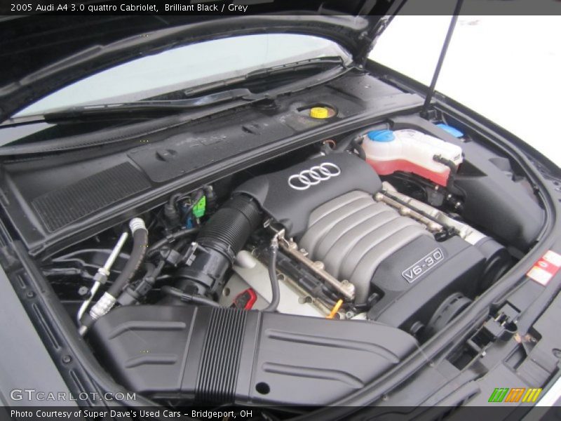  2005 A4 3.0 quattro Cabriolet Engine - 3.0 Liter DOHC 30-Valve V6