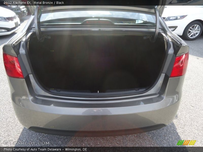 Metal Bronze / Black 2012 Kia Forte EX