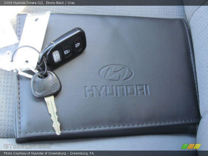 Ebony Black / Gray 2009 Hyundai Sonata GLS
