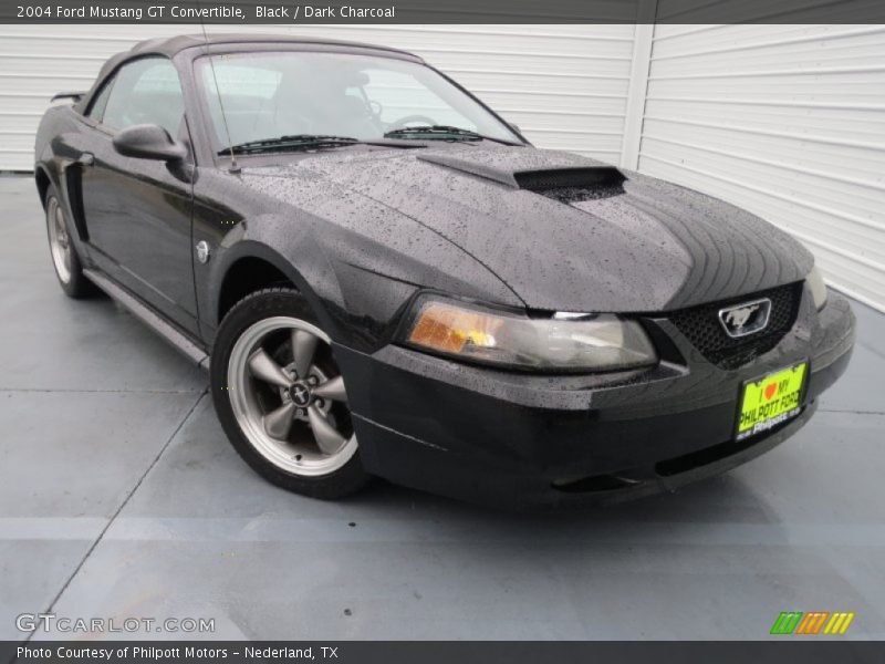 Black / Dark Charcoal 2004 Ford Mustang GT Convertible