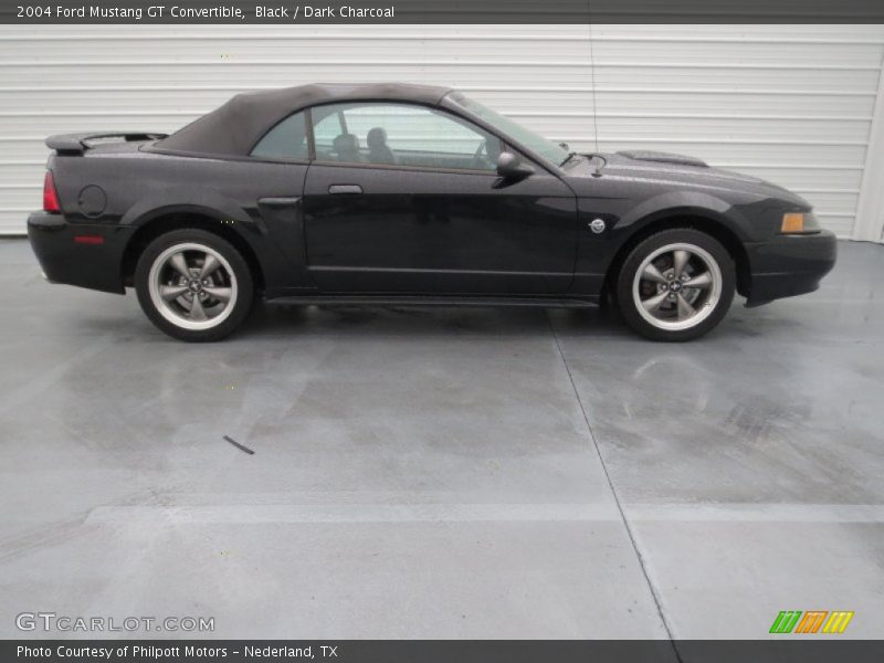 Black / Dark Charcoal 2004 Ford Mustang GT Convertible
