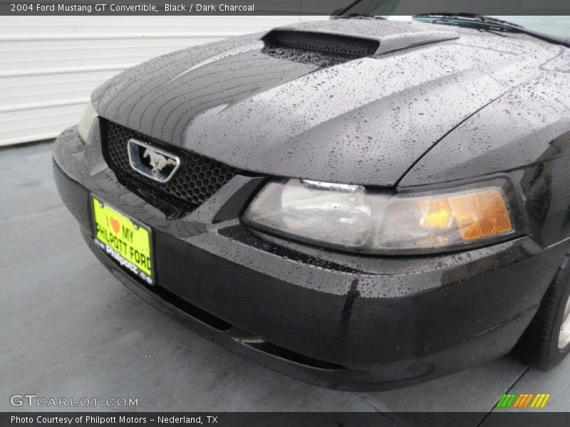 Black / Dark Charcoal 2004 Ford Mustang GT Convertible