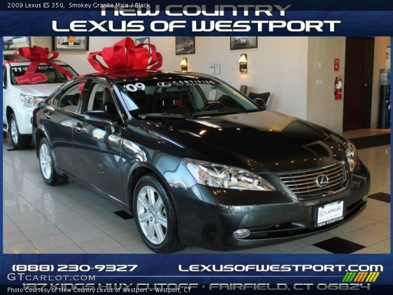 Smokey Granite Mica / Black 2009 Lexus ES 350