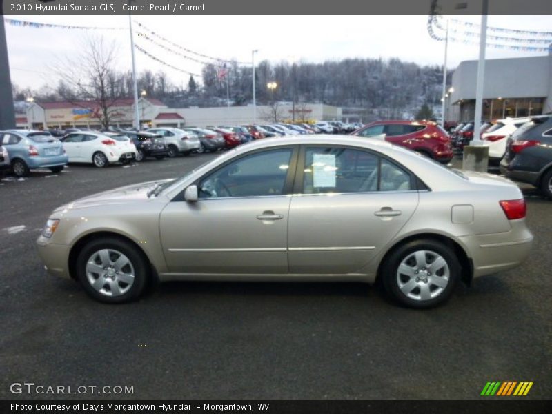 Camel Pearl / Camel 2010 Hyundai Sonata GLS
