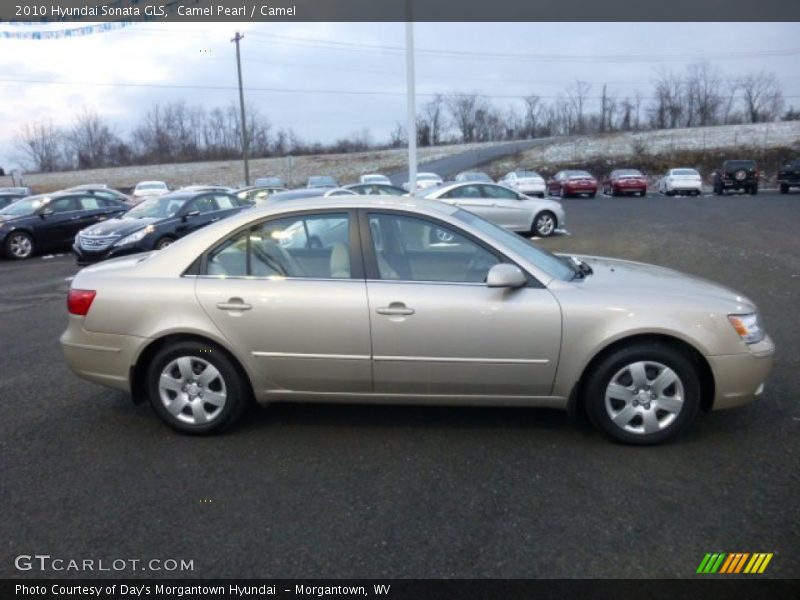 Camel Pearl / Camel 2010 Hyundai Sonata GLS