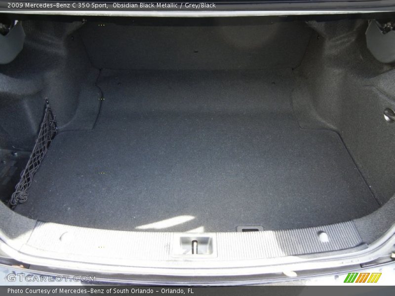 Obsidian Black Metallic / Grey/Black 2009 Mercedes-Benz C 350 Sport