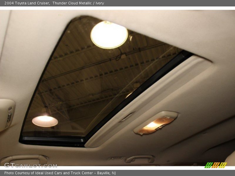 Thunder Cloud Metallic / Ivory 2004 Toyota Land Cruiser