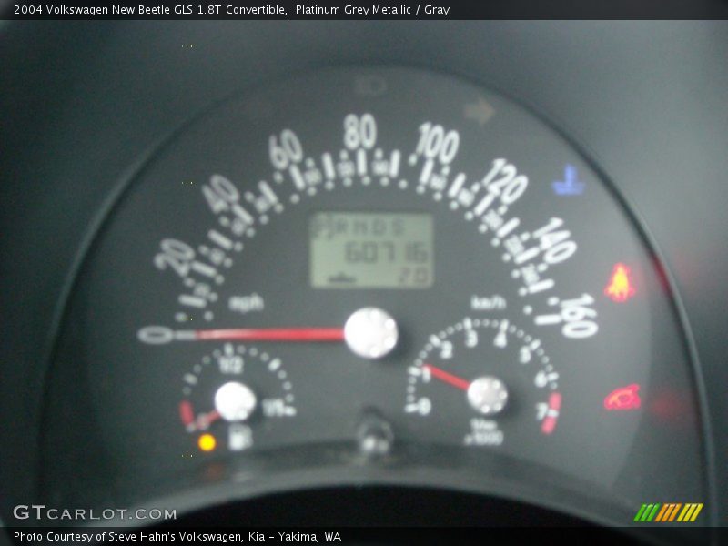 Platinum Grey Metallic / Gray 2004 Volkswagen New Beetle GLS 1.8T Convertible