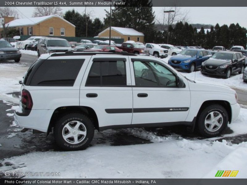 Summit White / Medium Pewter 2004 Chevrolet TrailBlazer LS 4x4