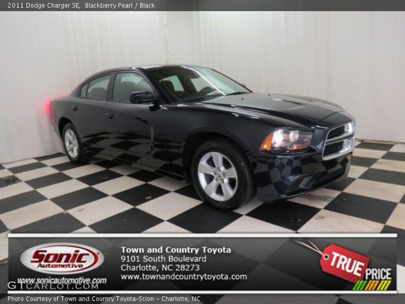Blackberry Pearl / Black 2011 Dodge Charger SE