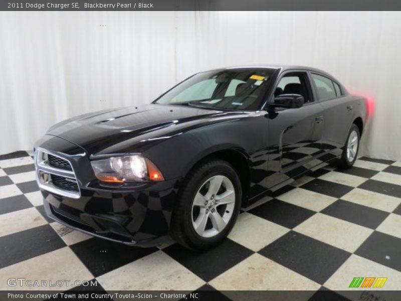 Blackberry Pearl / Black 2011 Dodge Charger SE