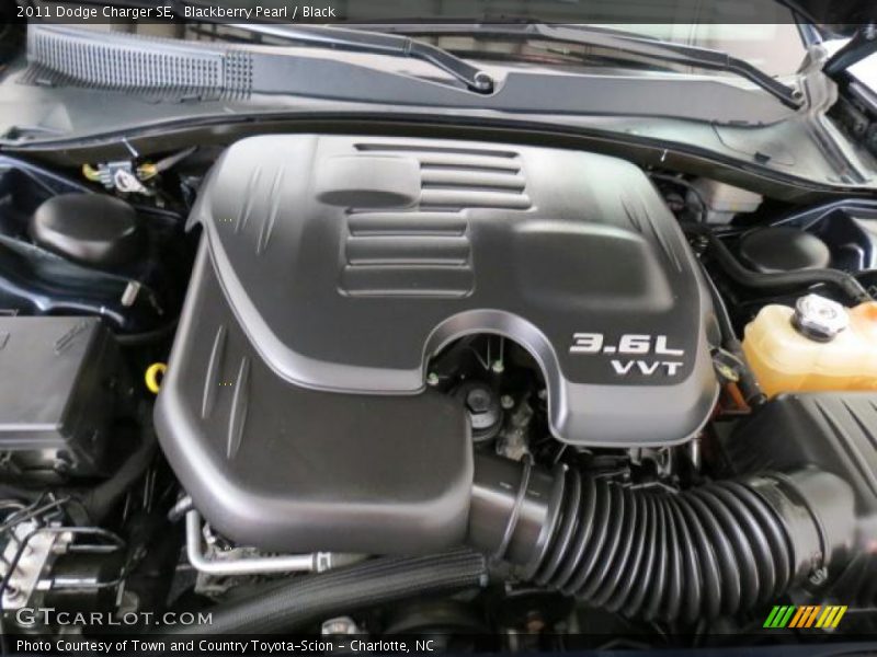 Blackberry Pearl / Black 2011 Dodge Charger SE