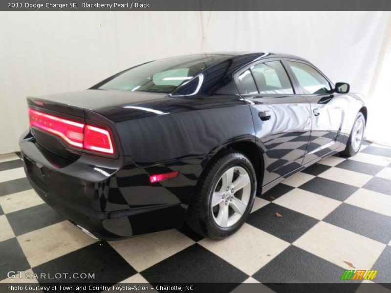 Blackberry Pearl / Black 2011 Dodge Charger SE