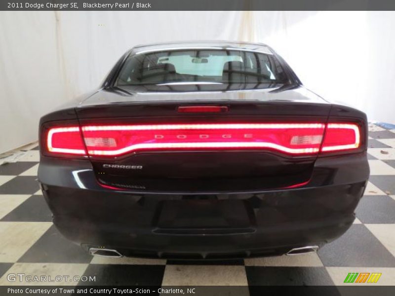 Blackberry Pearl / Black 2011 Dodge Charger SE