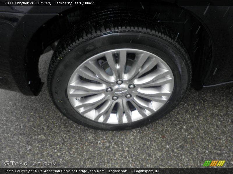 Blackberry Pearl / Black 2011 Chrysler 200 Limited