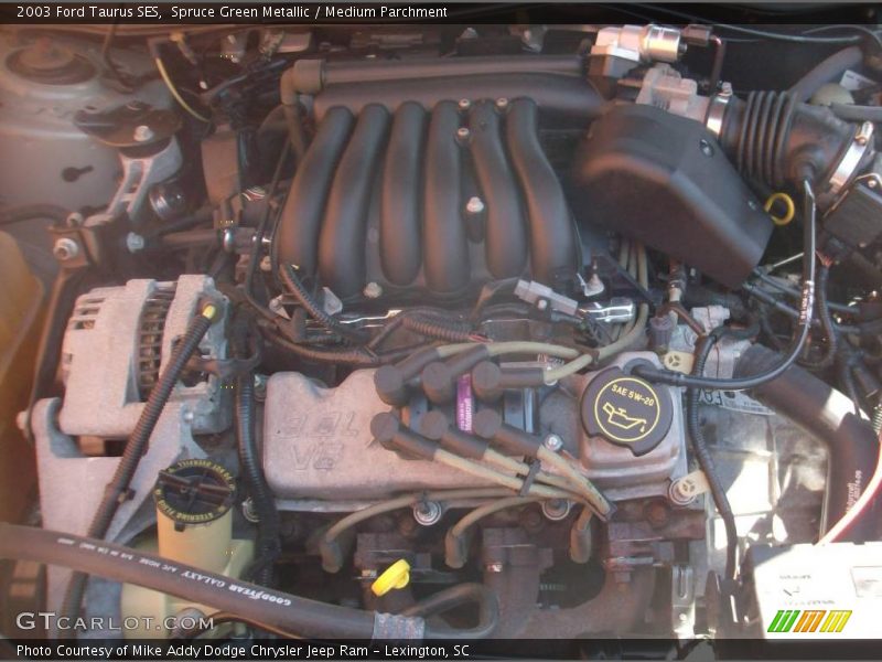 Spruce Green Metallic / Medium Parchment 2003 Ford Taurus SES