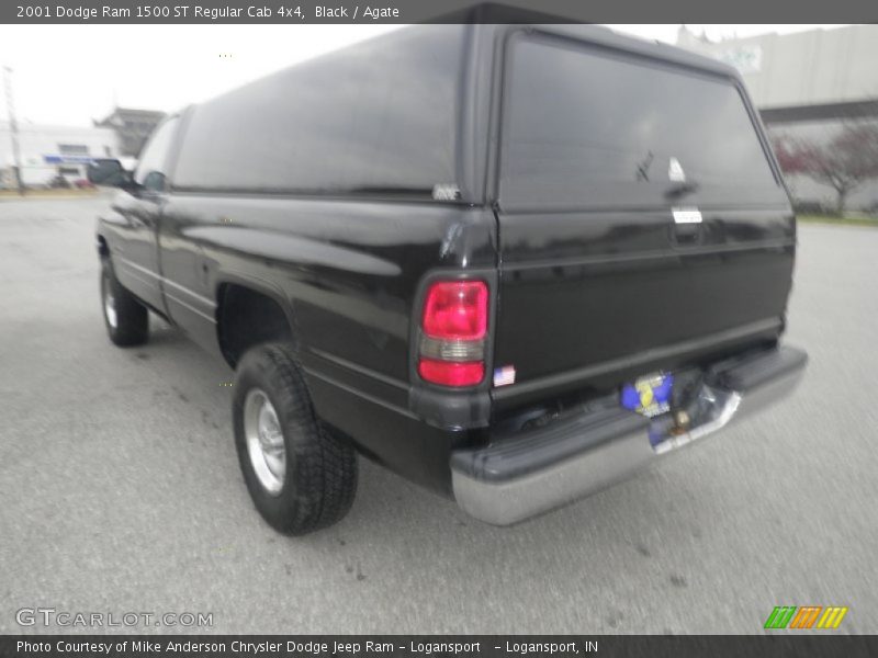 Black / Agate 2001 Dodge Ram 1500 ST Regular Cab 4x4