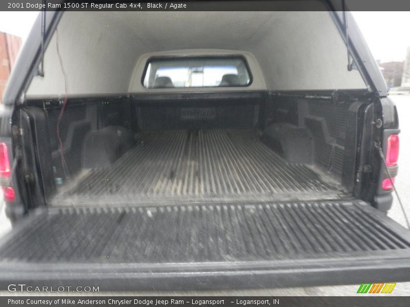 Black / Agate 2001 Dodge Ram 1500 ST Regular Cab 4x4