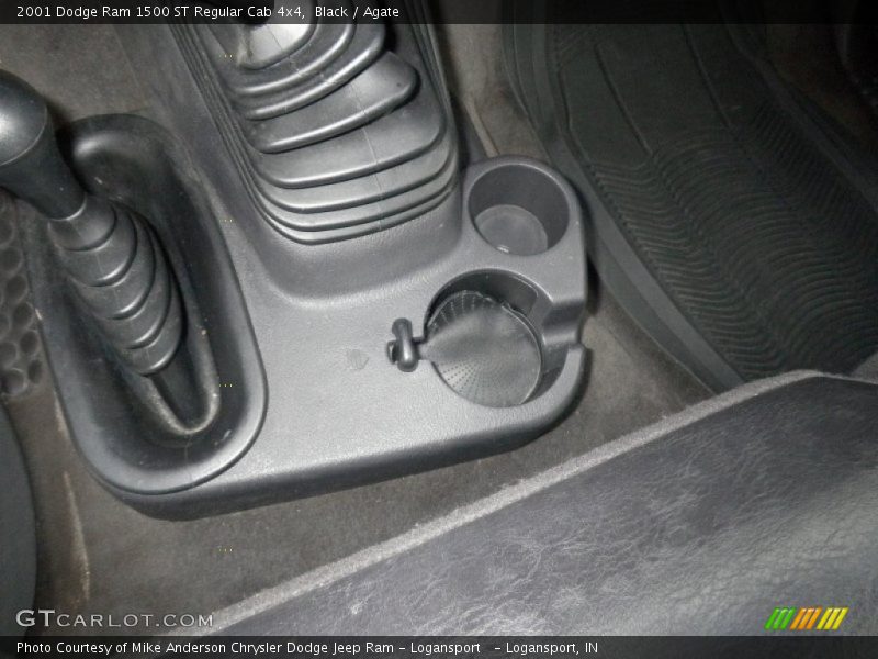 Black / Agate 2001 Dodge Ram 1500 ST Regular Cab 4x4