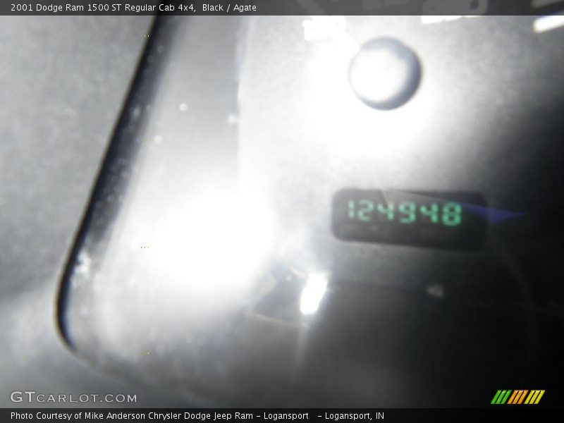 Black / Agate 2001 Dodge Ram 1500 ST Regular Cab 4x4