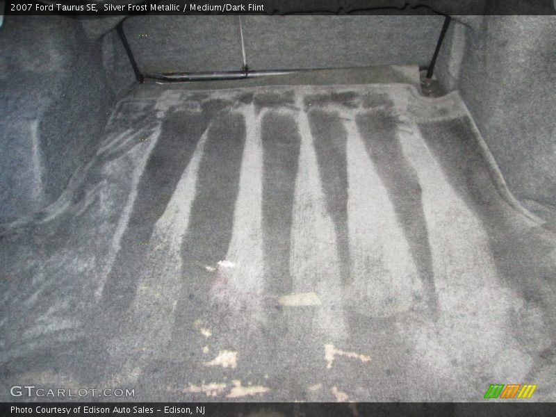 Silver Frost Metallic / Medium/Dark Flint 2007 Ford Taurus SE