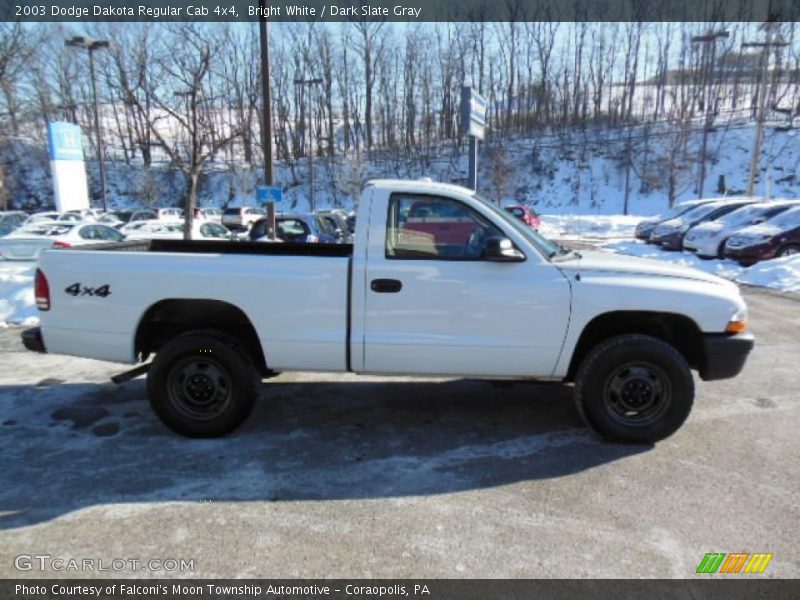 Bright White / Dark Slate Gray 2003 Dodge Dakota Regular Cab 4x4