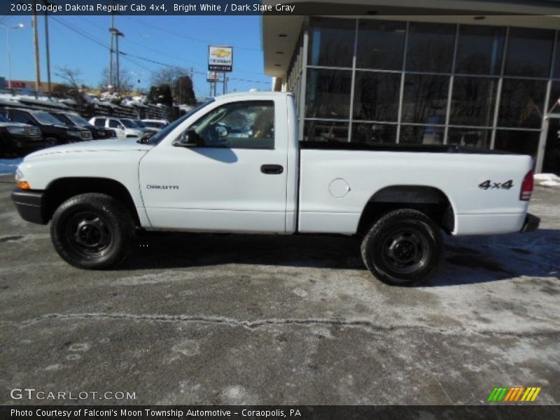 Bright White / Dark Slate Gray 2003 Dodge Dakota Regular Cab 4x4