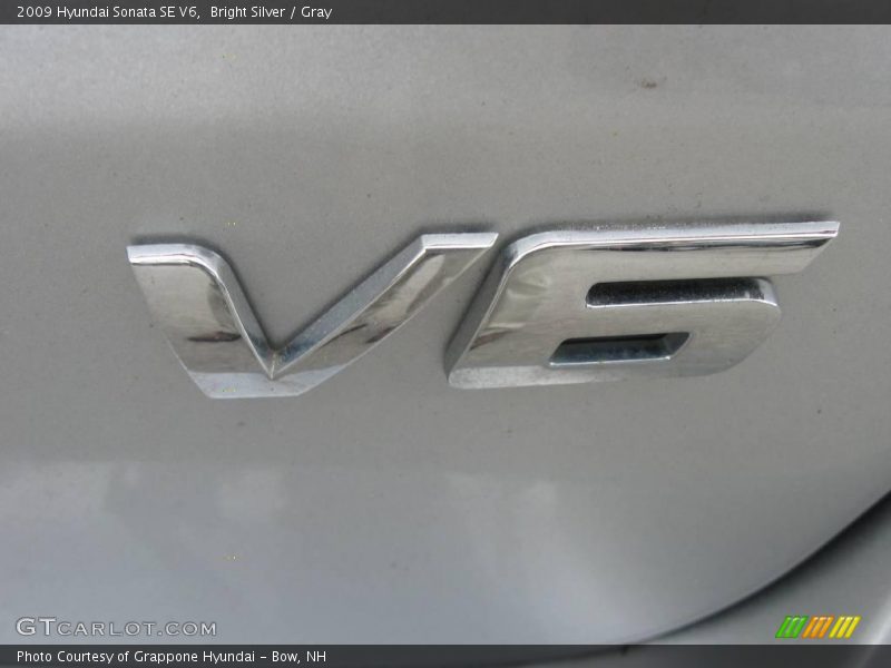 Bright Silver / Gray 2009 Hyundai Sonata SE V6