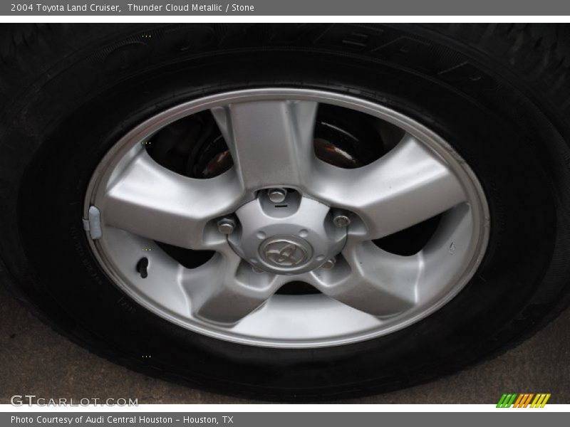 Thunder Cloud Metallic / Stone 2004 Toyota Land Cruiser