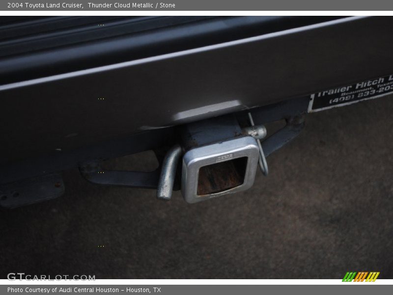 Thunder Cloud Metallic / Stone 2004 Toyota Land Cruiser