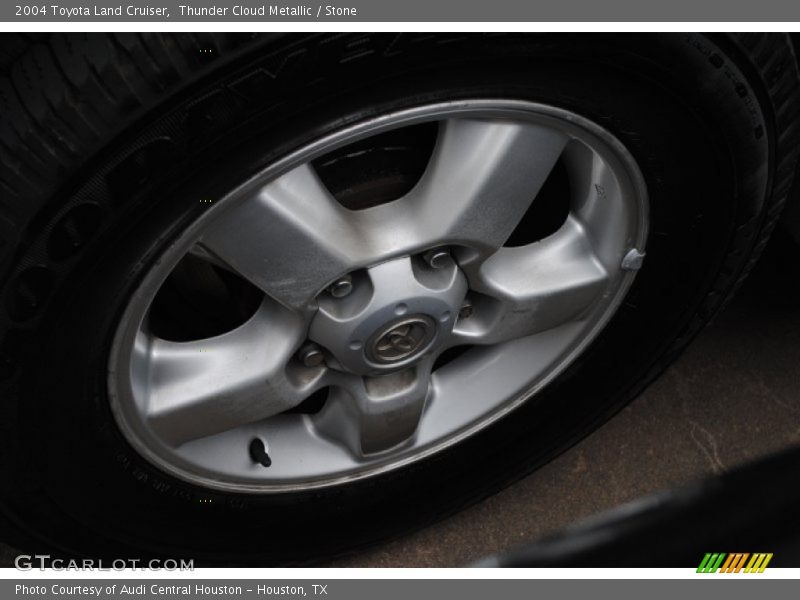 Thunder Cloud Metallic / Stone 2004 Toyota Land Cruiser