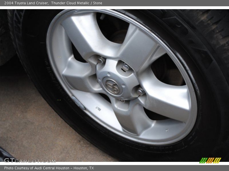 Thunder Cloud Metallic / Stone 2004 Toyota Land Cruiser
