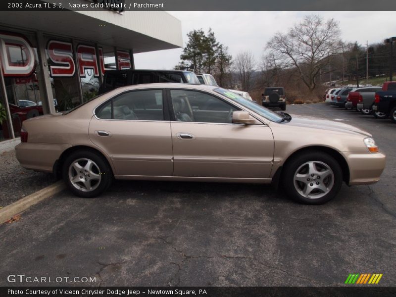  2002 TL 3.2 Naples Gold Metallic