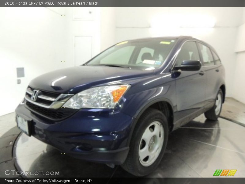 Royal Blue Pearl / Black 2010 Honda CR-V LX AWD